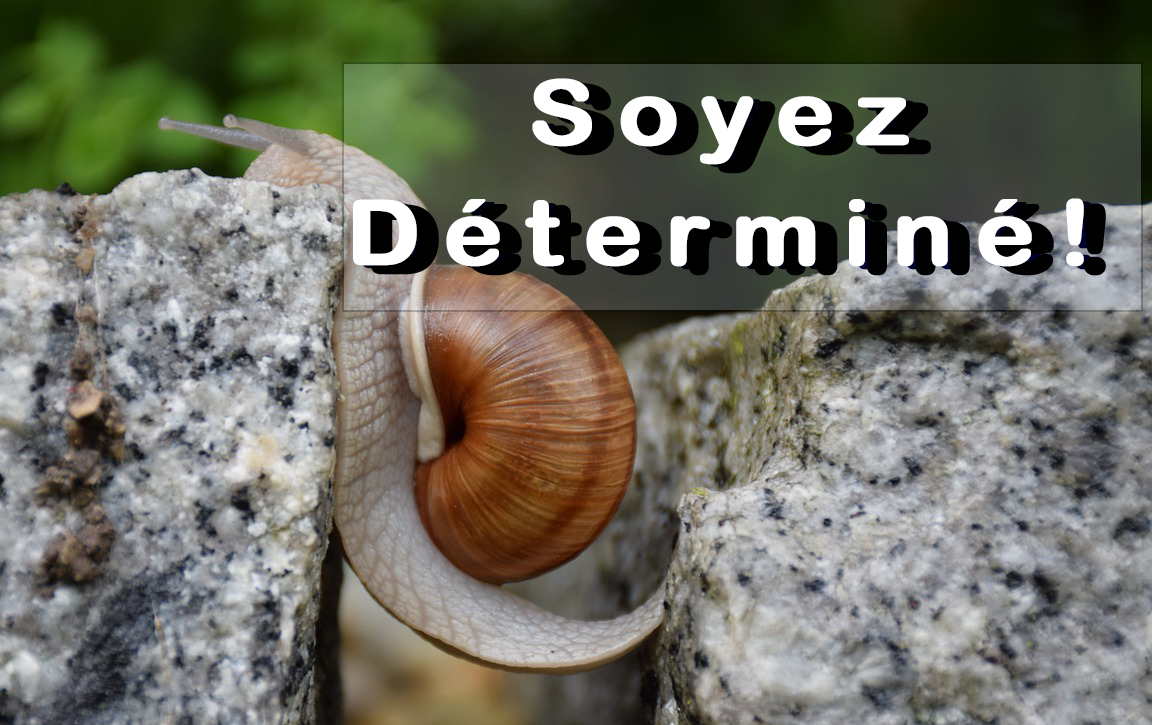 Lire la suite à propos de l’article Soyez déterminé !